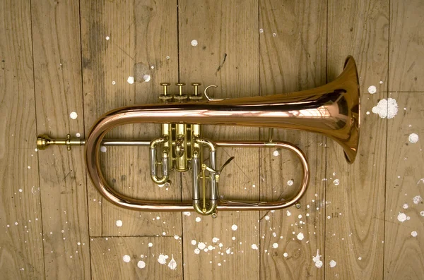 Pistões de trompete — Fotografia de Stock