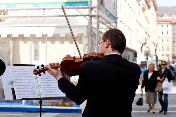 Violinisti da concerto — Foto Stock