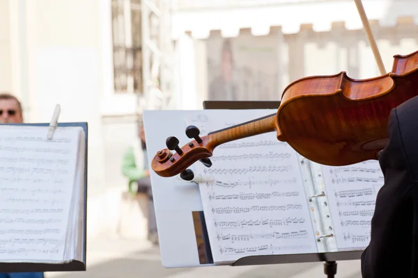 Koncert houslisty — Stockfoto