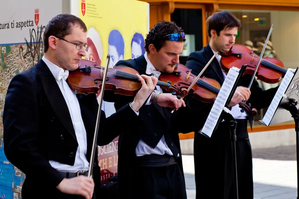 Violinisti da concerto — Foto Stock