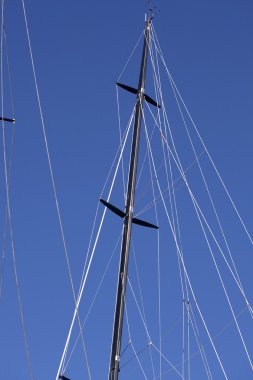 Mast