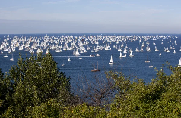 Barcolana 2010 年的里雅斯特帆船赛 — 图库照片