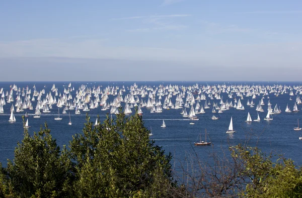 Barcolana 2010, The Trieste regatta — Stock Photo, Image
