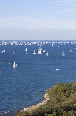 Barcolana 2010, trieste regatta