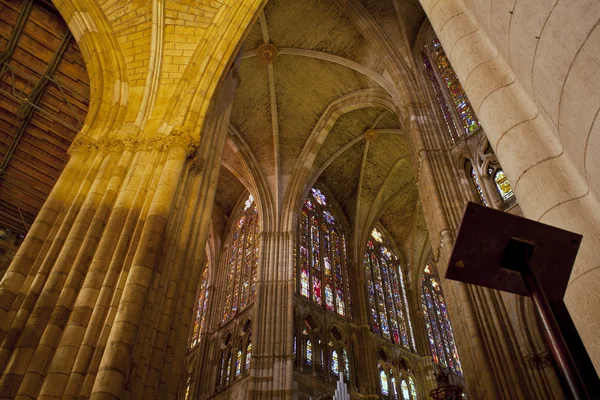Interior de la Catedral de leon — Stok fotoğraf
