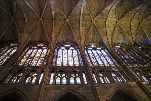 Wnętrze katedry leon — Zdjęcie stockowe
