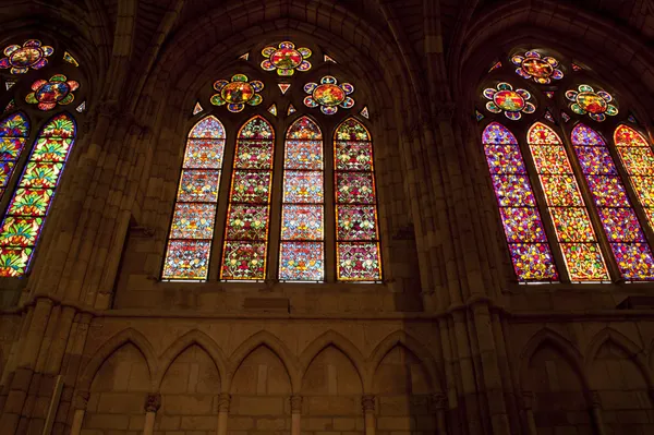 Windows, Leon's cathedral — Stok fotoğraf