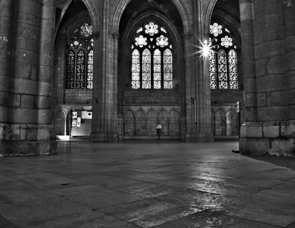 Windows, Leon's cathedral — Stok fotoğraf