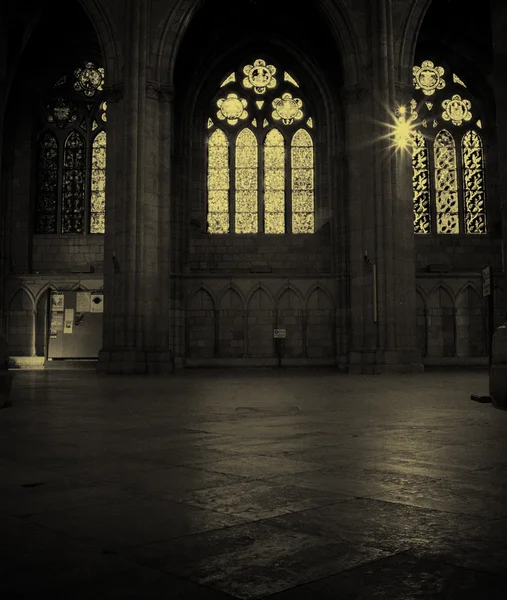 Windows、レオンの大聖堂 — ストック写真