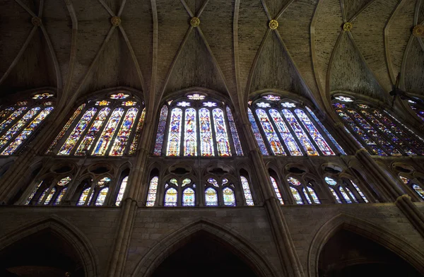 Windows van leon kathedraal — Stockfoto