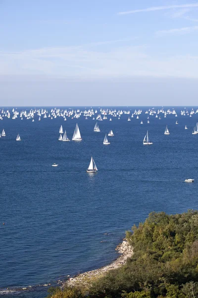 Barcelona 2010, The Trieste regatta — Stock Photo, Image