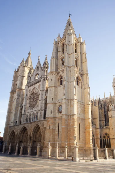 Cathedral of Leon — Stock Photo, Image