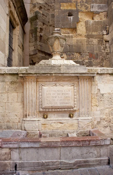 Vecchia fontana rinascimentale a Leon — Foto Stock