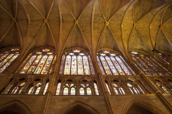 Teto, catedral de Leon — Fotografia de Stock