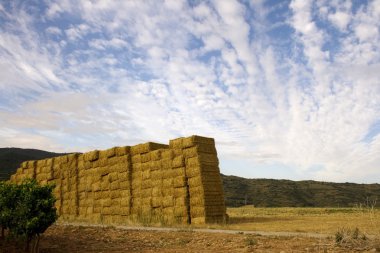 Bales of hay clipart