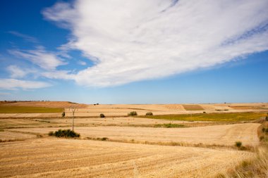 İspanyol kırsal