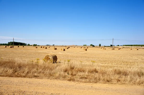 Spanska landsbygden — Stockfoto