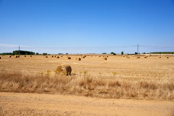 Spanish countryside — Stock Photo, Image