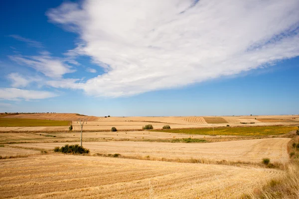 Spaanse platteland — Stockfoto