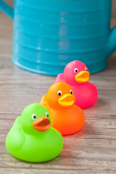 Stock image Rubber duck