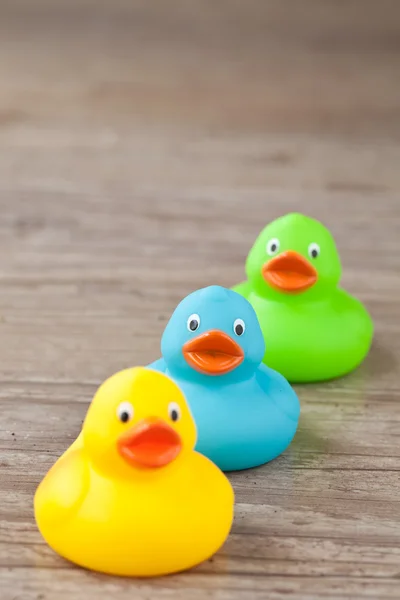 Rubber duck — Stock Photo, Image