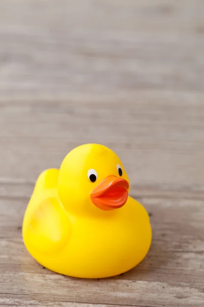 stock image Rubber duck