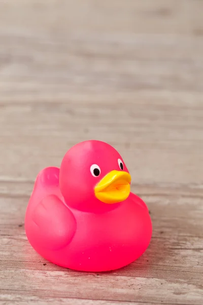 stock image Rubber duck