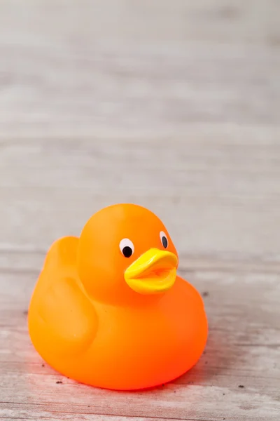 stock image Rubber duck