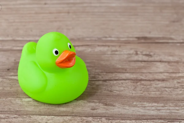 Stock image Rubber duck