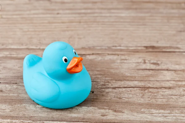 stock image Rubber duck