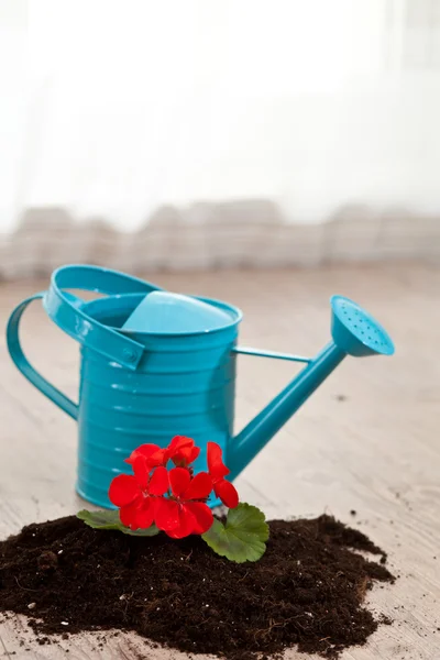 Planting a flower — Stock Photo, Image