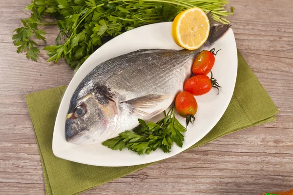 stock image Fresh gilthead