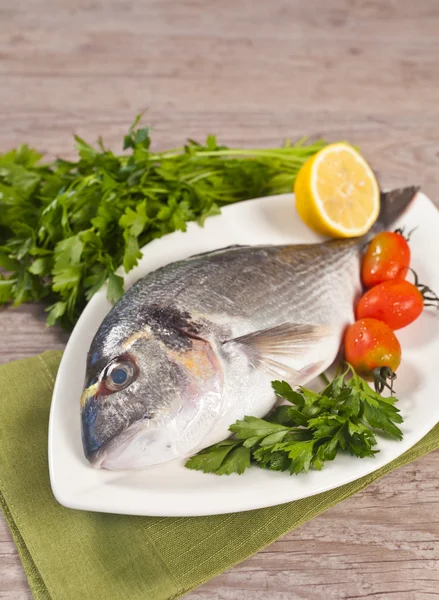 stock image Fresh gilthead