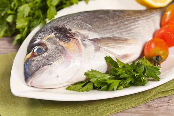 stock image Fresh gilthead