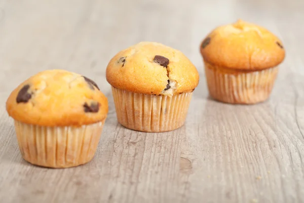 Chocolate muffins — Stock Photo, Image