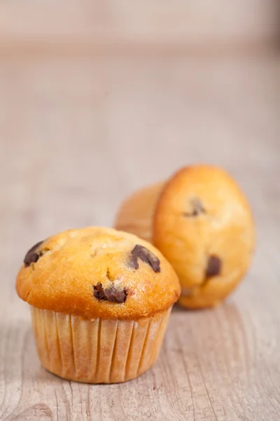 stock image Chocolate muffins