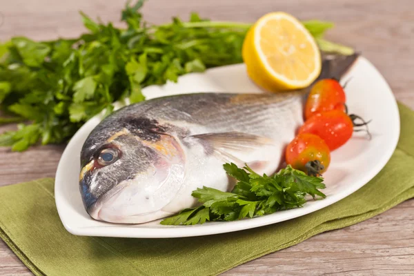 stock image Fresh gilthead