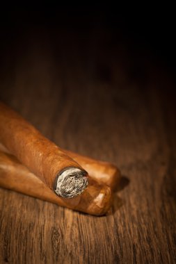 Havana cigars clipart