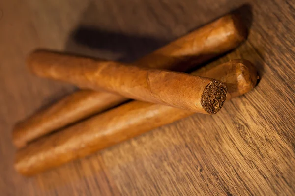 Гаванские сигары — стоковое фото