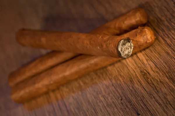 Havana purosu — Stok fotoğraf