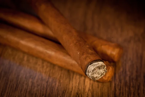 Havanna cigarrer — Stockfoto