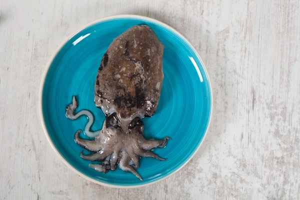 Raaka Cuttlefish — kuvapankkivalokuva