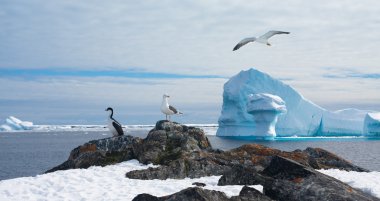 Antarctic landscape clipart