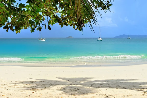 Tropisk strand på Seychellerne ø - Stock-foto