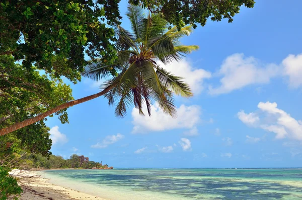 Сейшельский остров, Ла-Диге — стоковое фото