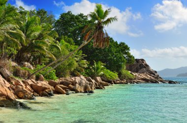 Seychelles islands clipart