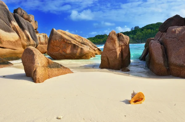 Praia tropical na ilha das Seychelles — Fotografia de Stock