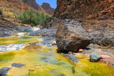 kayalık dağ, yemen