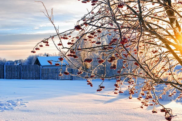 冬季时间景观 — 图库照片