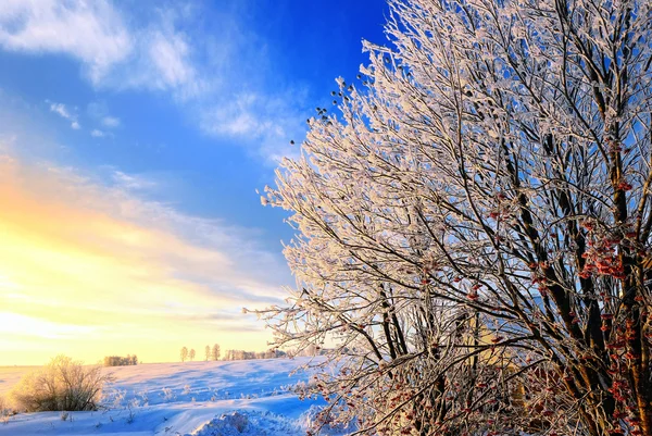 Tijd winterlandschap — Stockfoto